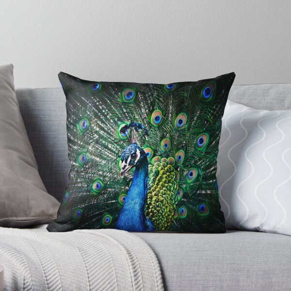 Peacock 2024 pillow covers