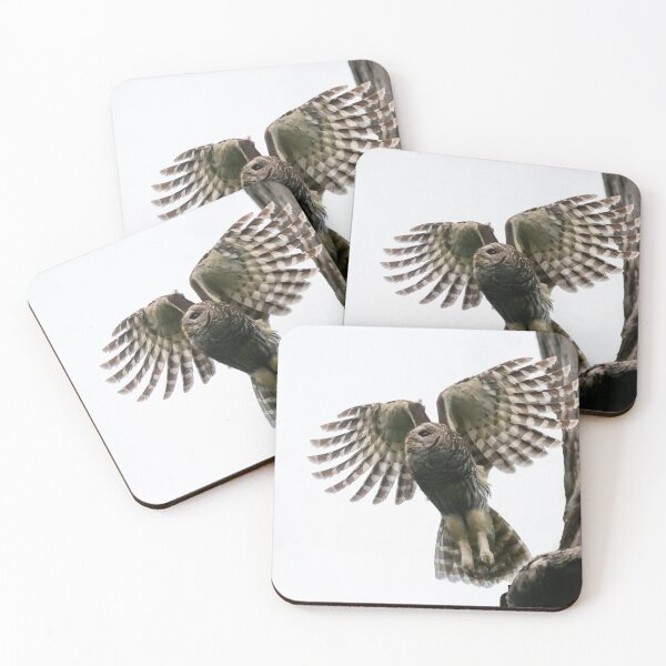 Item preview, Mama Barred Owl Taking Off designed and sold by Puttaswamy Ravishankar.