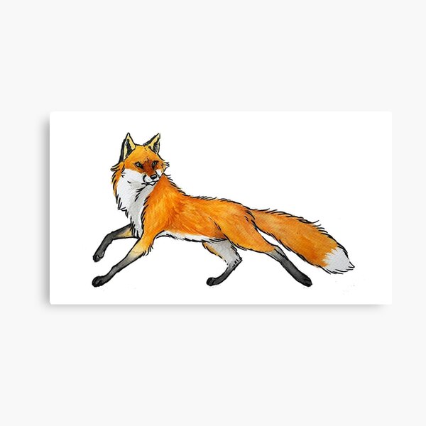 Snooty Fox Art Yoga Leggings - Summer Song