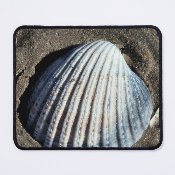 Item preview, shell designed and sold by KathleenDawson.