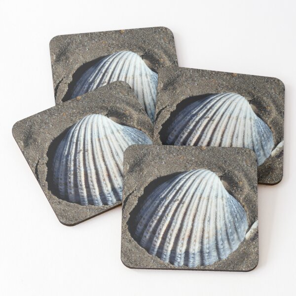 Item preview, shell designed and sold by KathleenDawson.