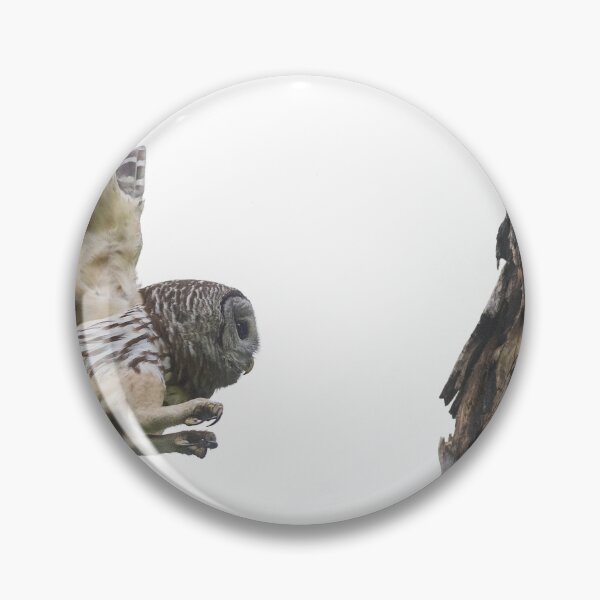 Item preview, Mama Barred Owl in stealth designed and sold by Puttaswamy Ravishankar.