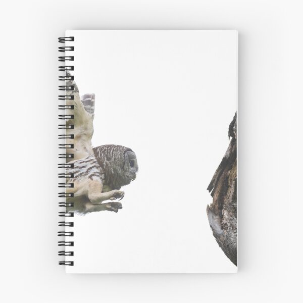 Item preview, Mama Barred Owl in stealth designed and sold by Puttaswamy Ravishankar.