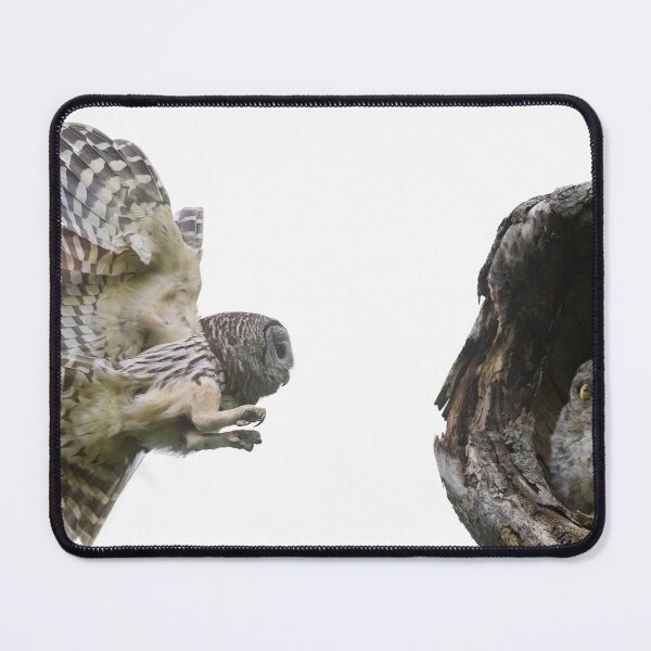 Item preview, Mama Barred Owl in stealth designed and sold by Puttaswamy Ravishankar.