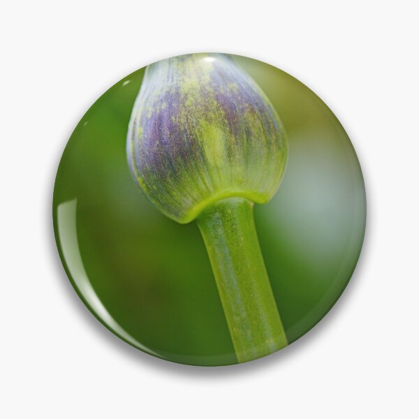 Item preview, Purple With Green Agapanthus Bud  designed and sold by Joy Watson - Natural Light Photography .