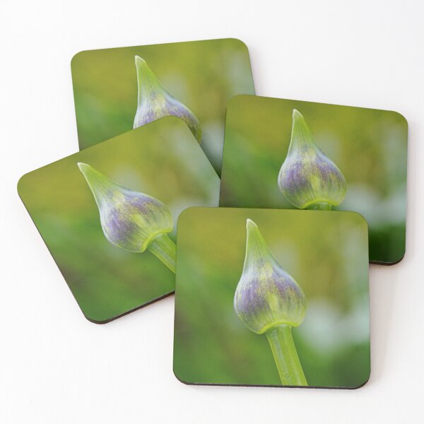 Item preview, Purple With Green Agapanthus Bud  designed and sold by Joy Watson - Natural Light Photography .