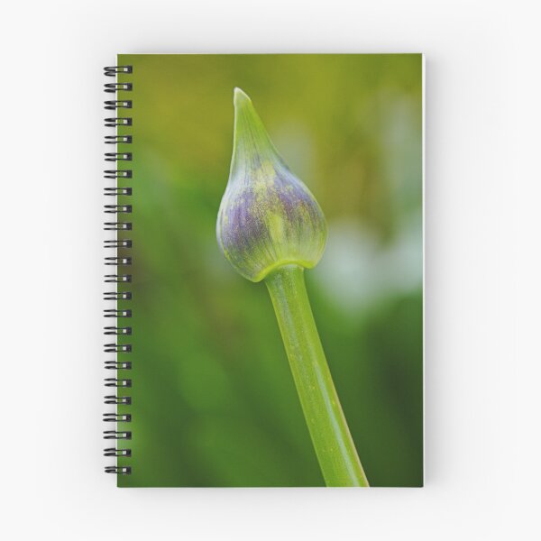 Item preview, Purple With Green Agapanthus Bud  designed and sold by Joy Watson - Natural Light Photography .