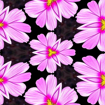 Artwork thumbnail, Pink Cosmos Pattern by Patternflower
