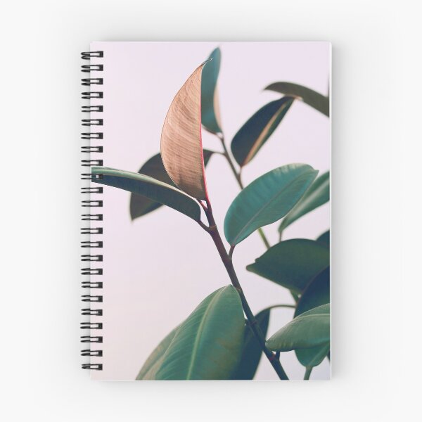 Item preview, Ficus Elastica #4 designed and sold by ALICIA BOCK.