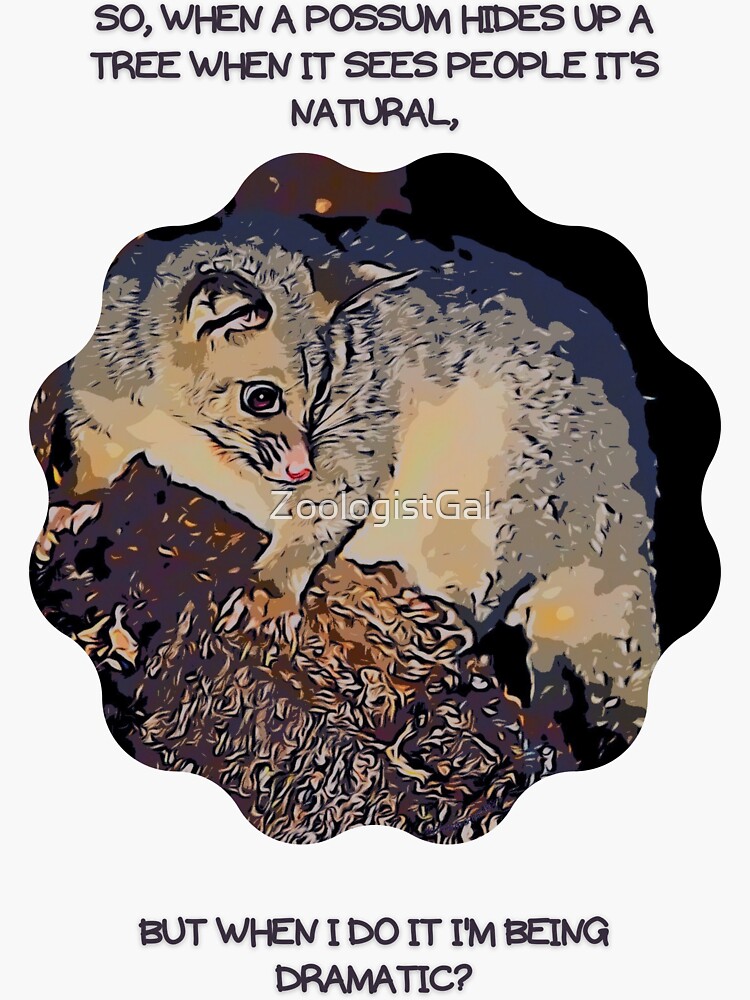 "So, when a possum hides up a tree when it sees people it's natural