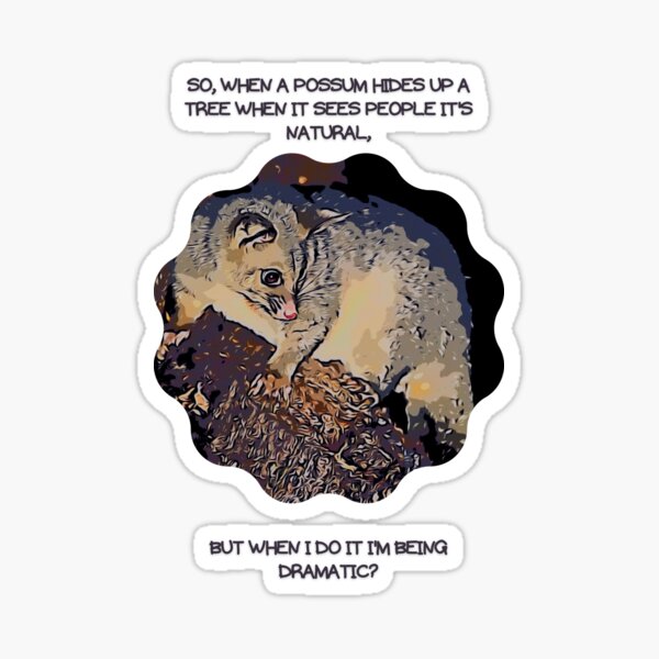 "So, when a possum hides up a tree when it sees people it's natural