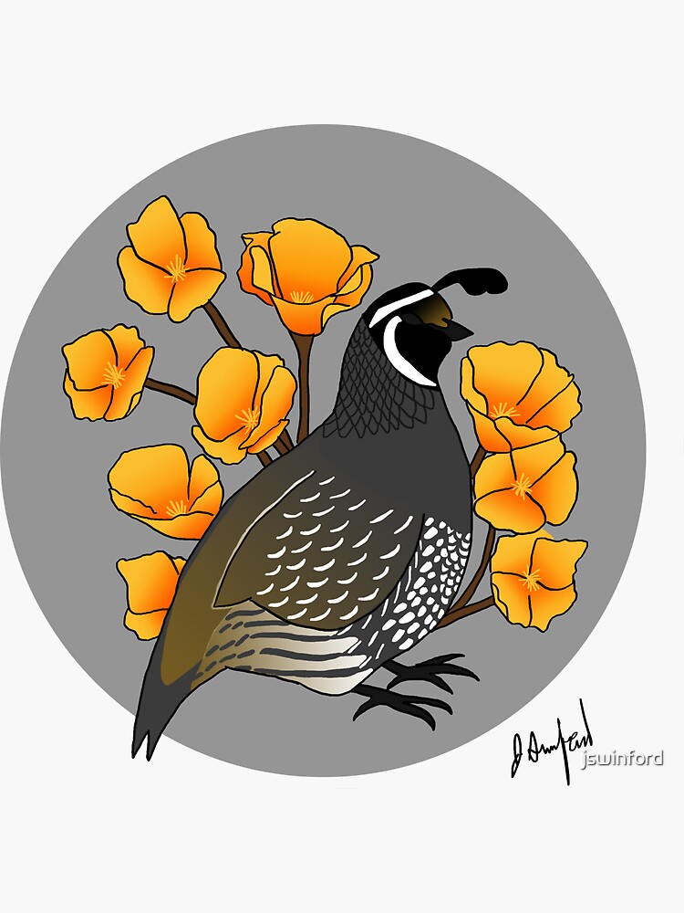 California Poppy Quail Zipper Hoodie