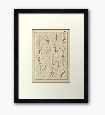 Microscopic Biology Framed Print