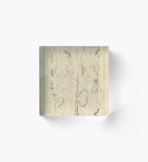 Microscopic Biology Acrylic Block