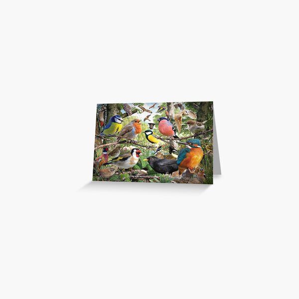 Vista previa del artículo con la obra «Pájaros británicos», diseñado y vendido por DavidPenfound.