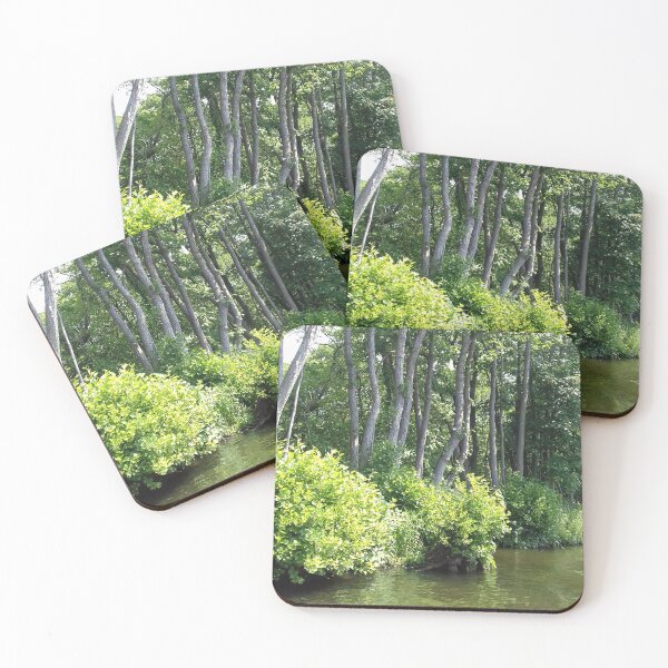 Item preview, Tall trees and green bushes on a sunny river bank. designed and sold by claireseyeview.