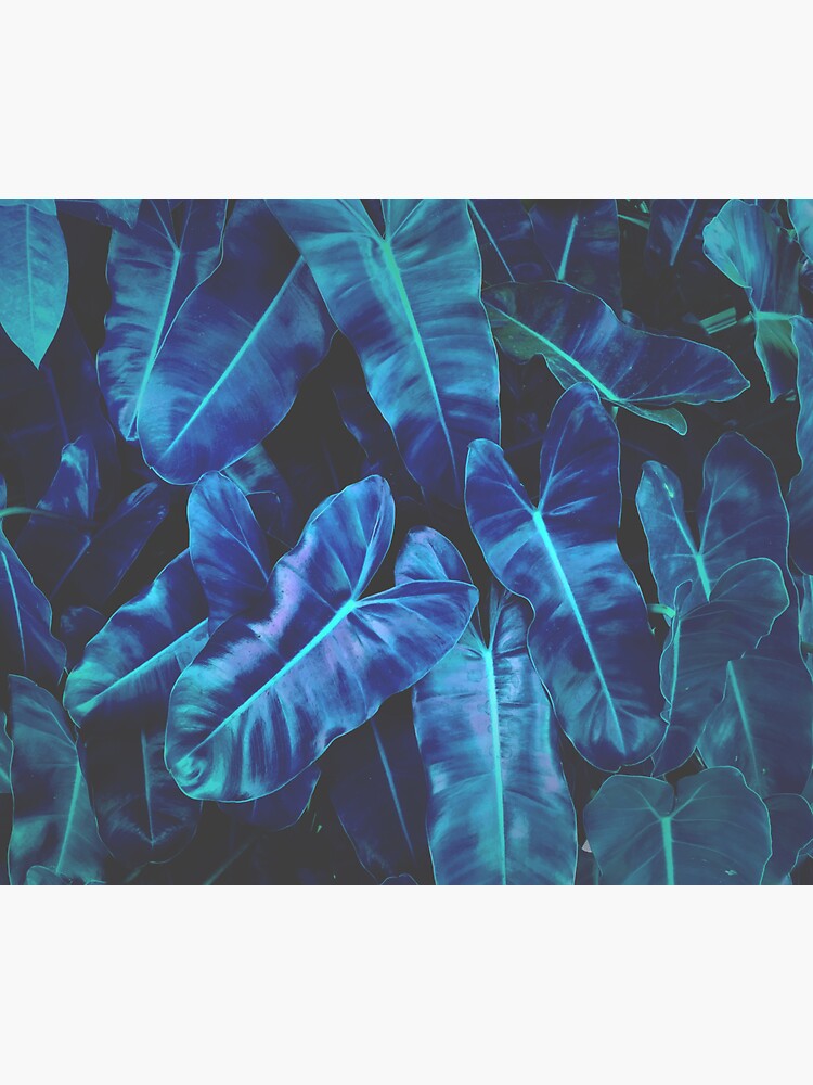 Blue Tropical Leaves  by JuliaMcM09