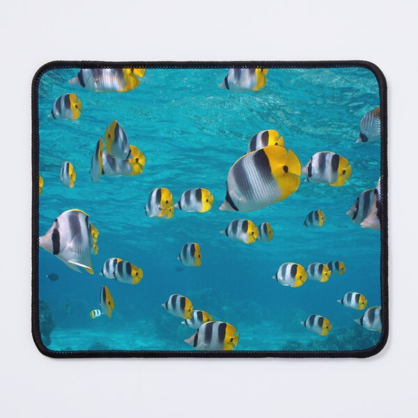 Item preview, Shoal of tropical fish underwater in the ocean butterflyfish designed and sold by Seaphotoart.