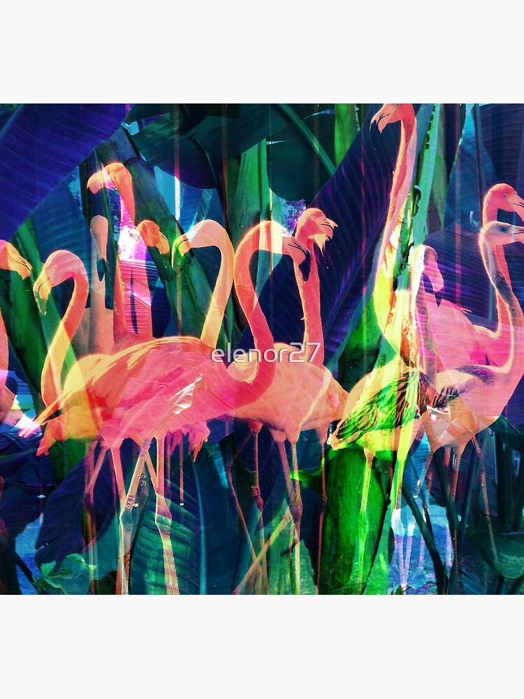 Flamingo Dance by elenor27