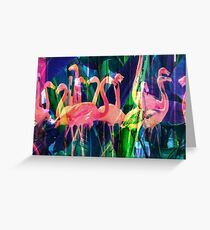 Flamingo Dance Greeting Card