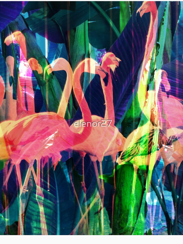 Flamingo Dance by elenor27