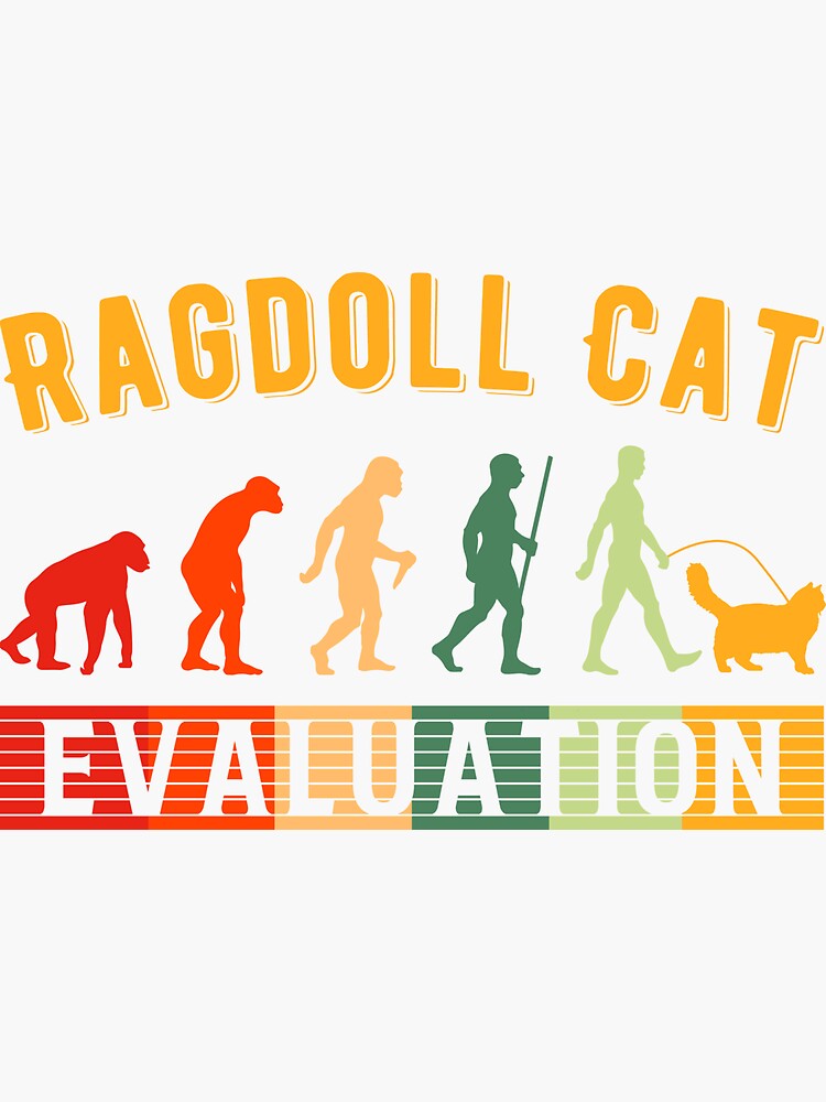 "Ragdoll Cat Evaluation" Sticker for Sale by netdota Redbubble