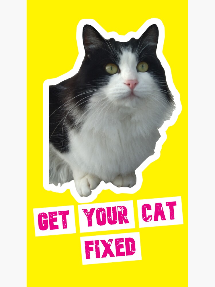 "Get Your Cat Fixed number one" Sticker for Sale by creangat Redbubble
