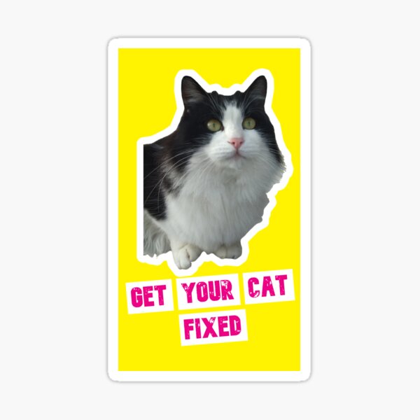 "Get Your Cat Fixed number one" Sticker for Sale by creangat Redbubble