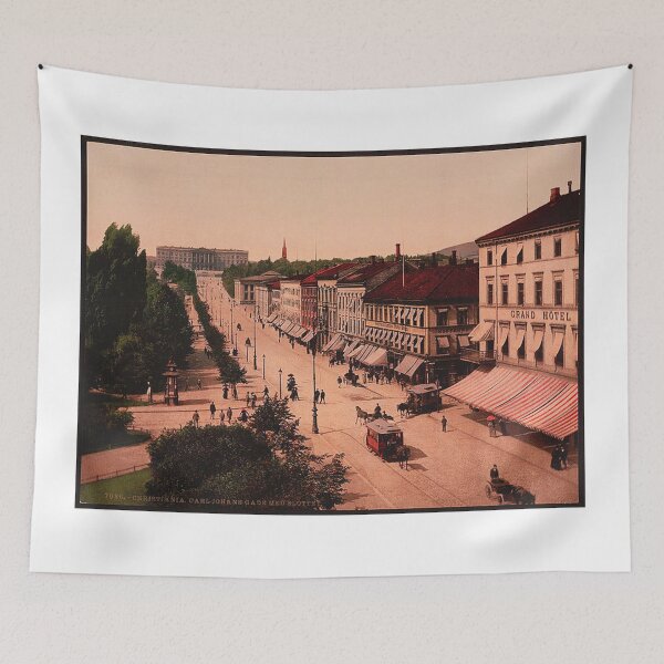Item preview, Christiania Carljohans Gade med slottet vintage photo designed and sold by Vintage Designs +.