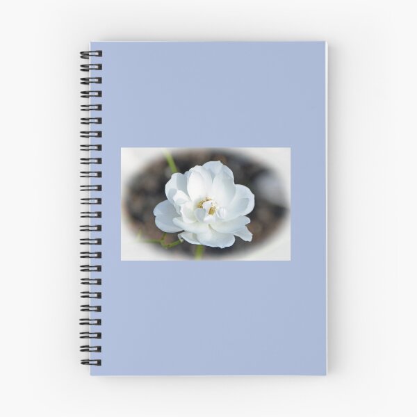 Item preview, White Rose...........Lyme Dorest UK designed and sold by lynn carter.