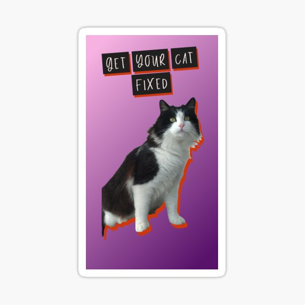 get-your-cat-fixed-number-two-sticker-for-sale-by-creangat-redbubble