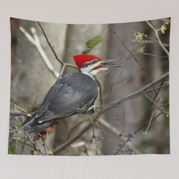 Item preview, Pileated Woodpecker designed and sold by Enola Gay Wagner.