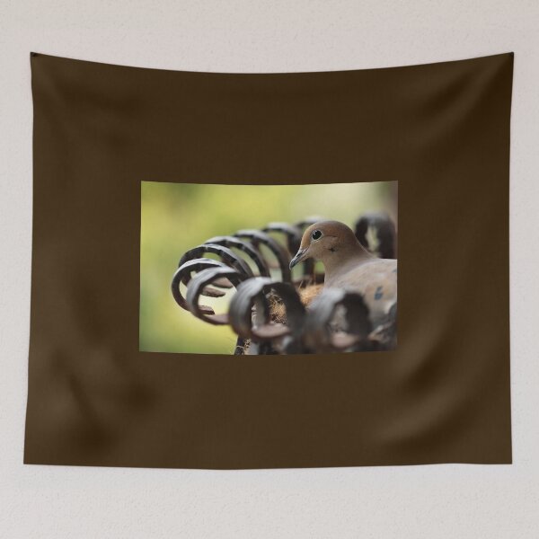 Item preview, Nesting Mourning Dove designed and sold by Debbie Oppermann.