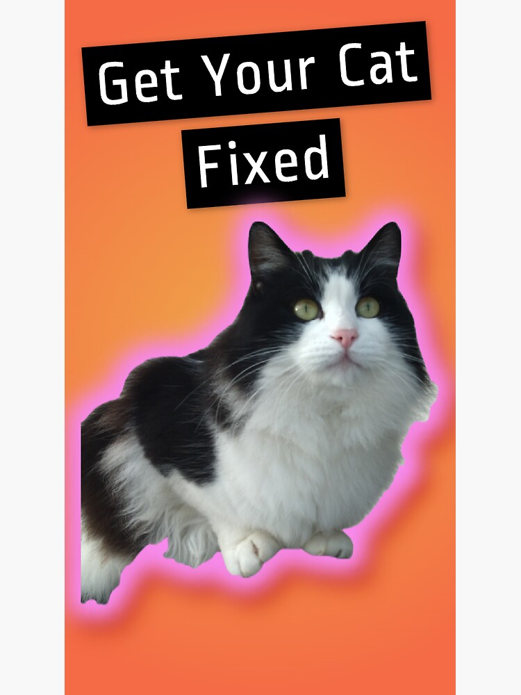 "Get Your Cat Fixed number three" Sticker for Sale by creangat Redbubble