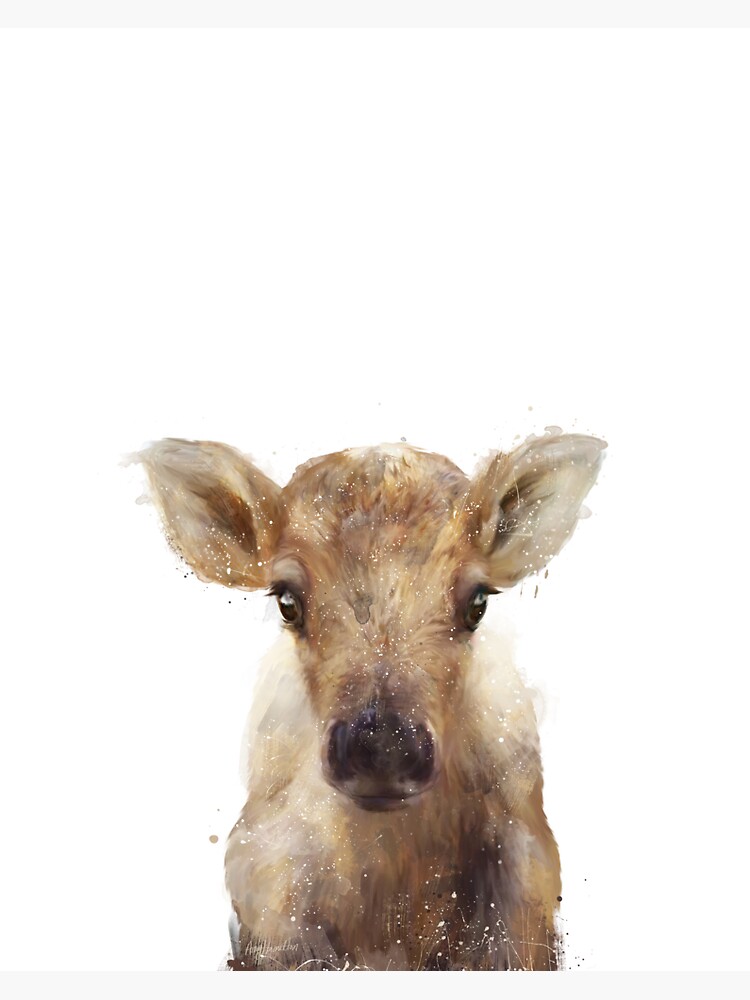 Little Reindeer by AmyHamilton