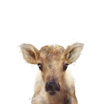 Artwork thumbnail, Little Reindeer by AmyHamilton