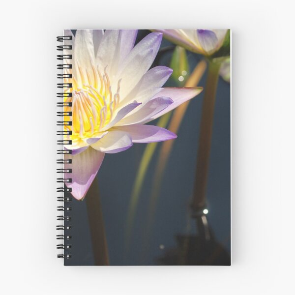 Item preview, Visitor designed and sold by 450nm.