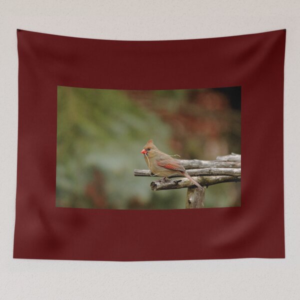 Item preview, Cardinal Nest Building designed and sold by Debbie Oppermann.