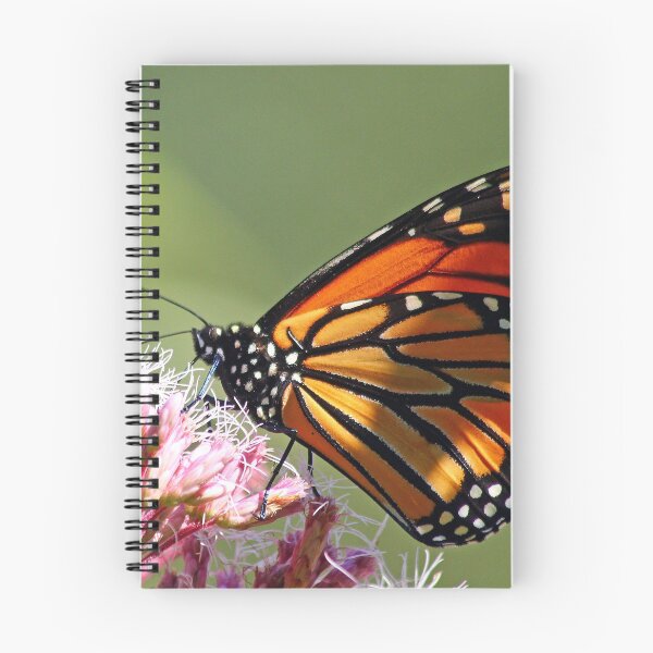 Item preview, Monarch And Milkweed designed and sold by Debbie Oppermann.