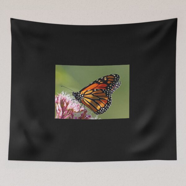 Item preview, Monarch And Milkweed designed and sold by Debbie Oppermann.