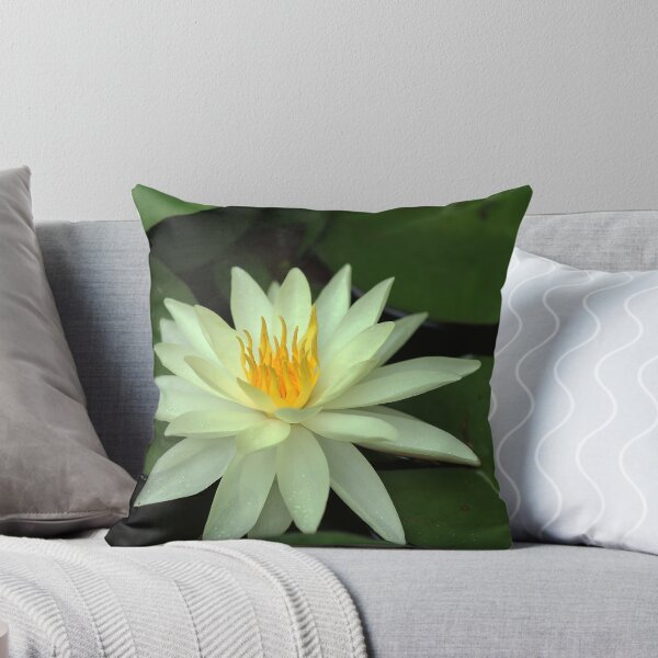 Item preview, Yellow Water Lily designed and sold by Debbie Oppermann.