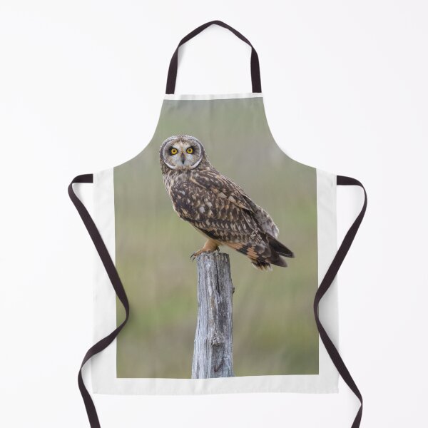 Item preview, Yellow eyed Short-eared owl close up designed and sold by sgrphotography.