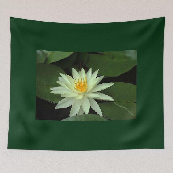 Item preview, Yellow Water Lily designed and sold by Debbie Oppermann.