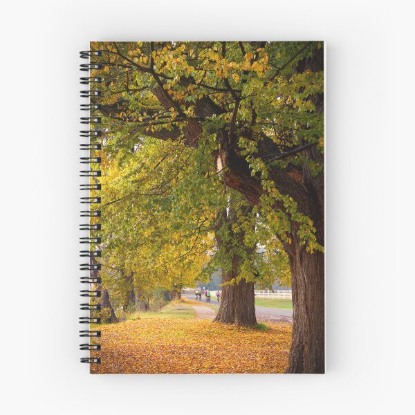 Item preview, Autumn in Tumut designed and sold by Jennene Cathcart.