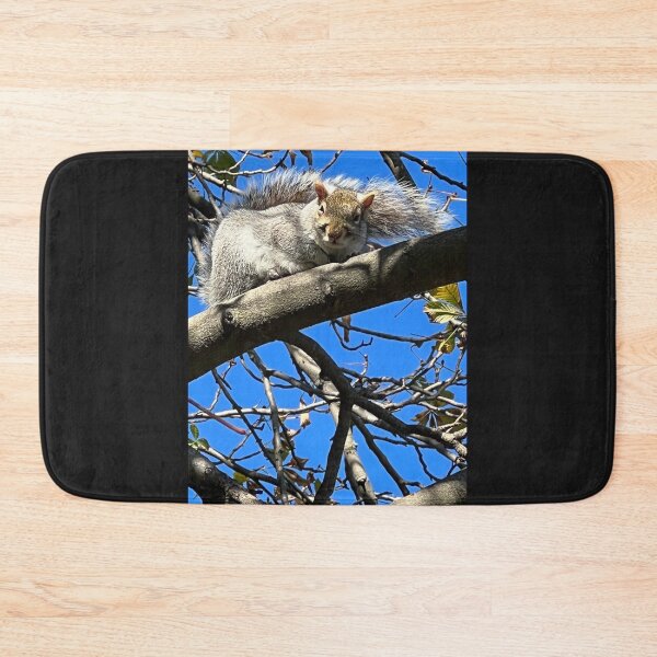 Item preview, Sleepy Squirrels photograph designed and sold by DebbieJoyArt.