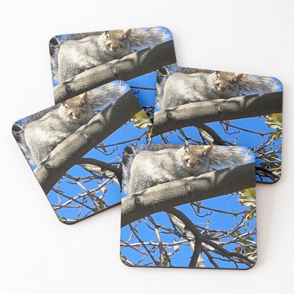 Item preview, Sleepy Squirrels photograph designed and sold by DebbieJoyArt.