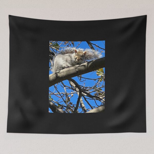 Item preview, Sleepy Squirrels photograph designed and sold by DebbieJoyArt.