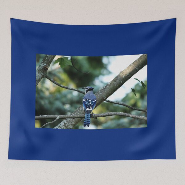 Item preview, Singing The Blues - Blue Jay designed and sold by Debbie Oppermann.