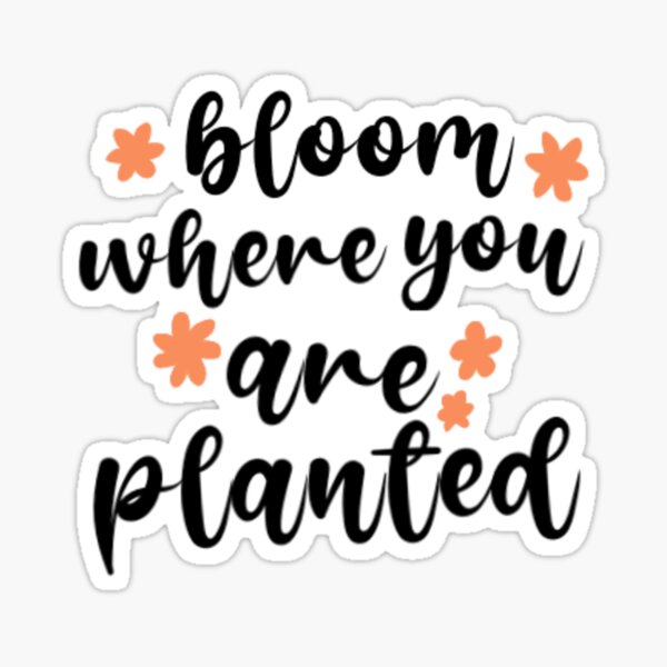 Bloom where you are planted Sticker for Sale by Design Dreamer