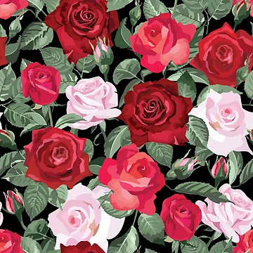 Artwork thumbnail, Adorable Roses by danikaVT